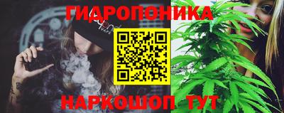 дурь Бийск