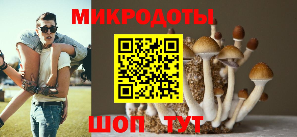 Воронеж  Галлюциногенные грибы Magic Shrooms  Вход с VPN 